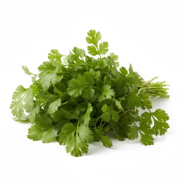 Corriander