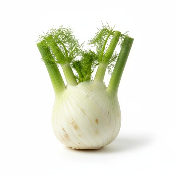 Fennel