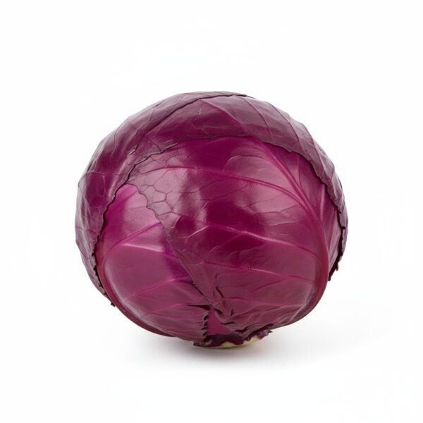 Cabbage Red