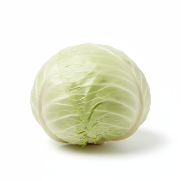 White Primo Cabbage