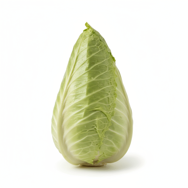 Pointed Cabbage