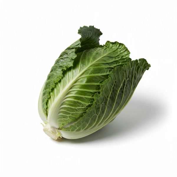 Spring Cabbage