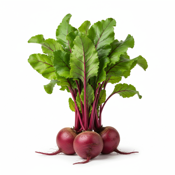 Beetroot Bunch